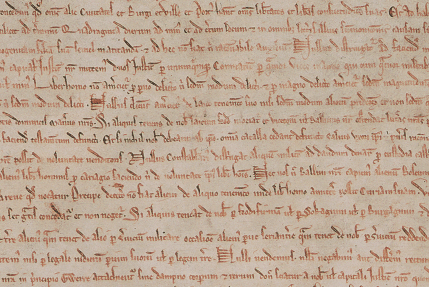 Handwriting Magna Carta Sample