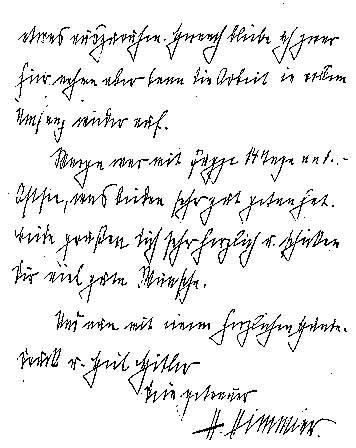  Heinrich Himmler handwriting
